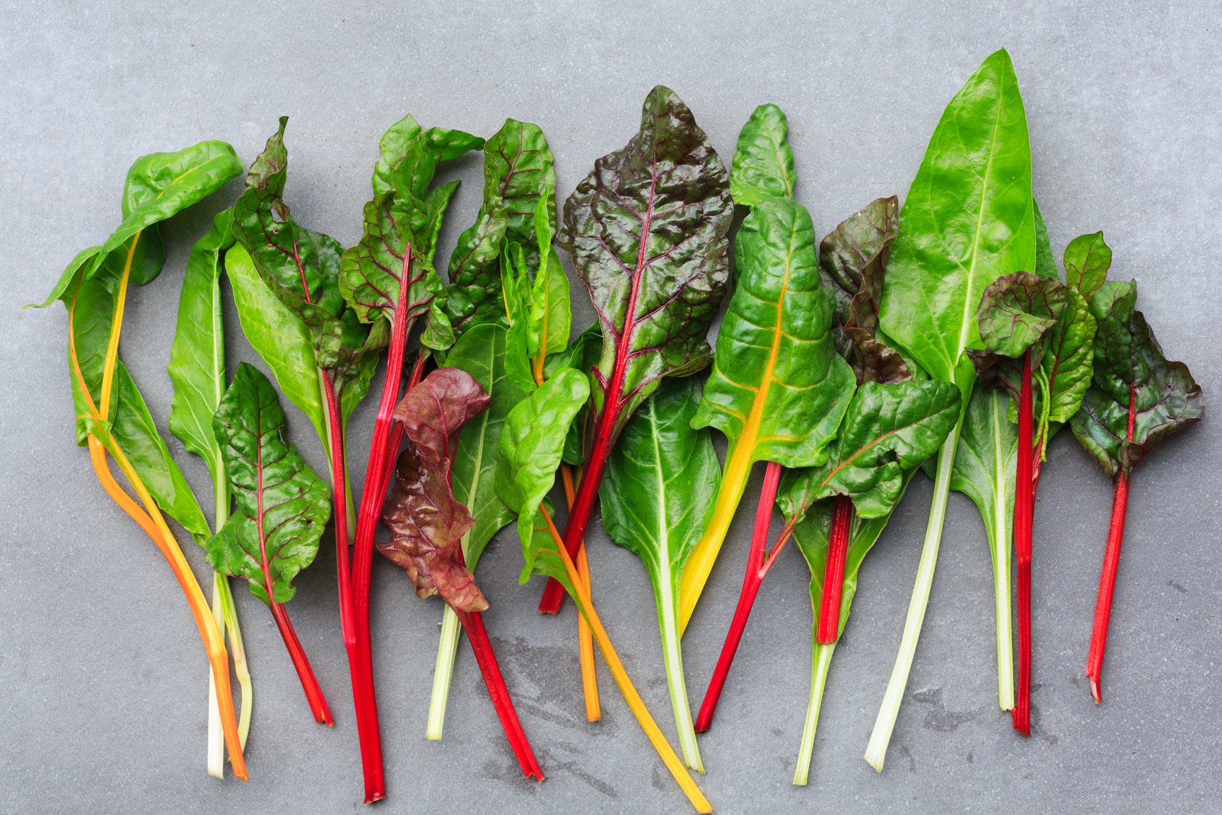 Rainbow Chard leaves